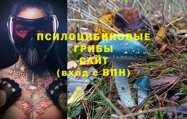 spice Абинск