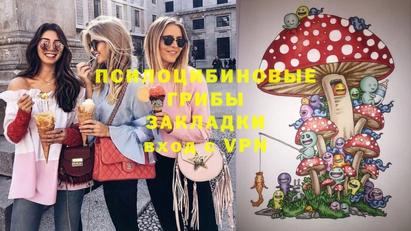 молекула духа Алексеевка