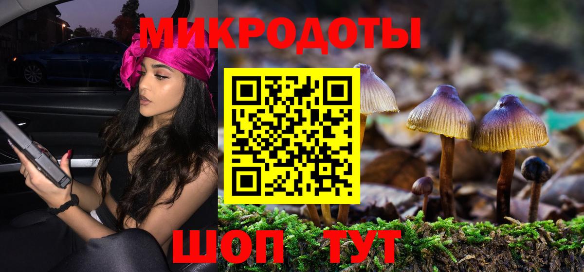 Псилоцибиновые грибы Cubensis  Галлюциногенные грибы Cubensis  Вход с VPN  Ковров 